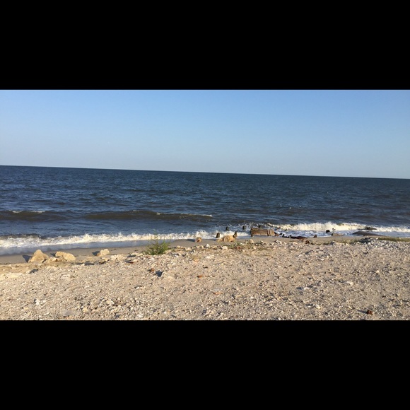 Meet your Posher, Sam - Picture 1 of 1